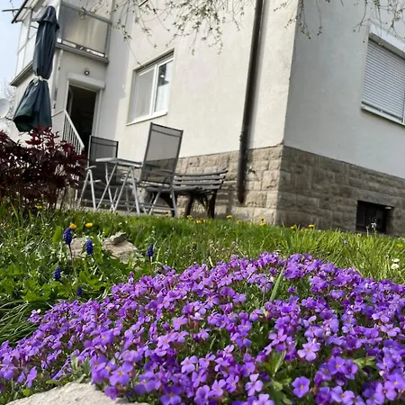 Appartement Pelkmann 1 - Gruene Oase In