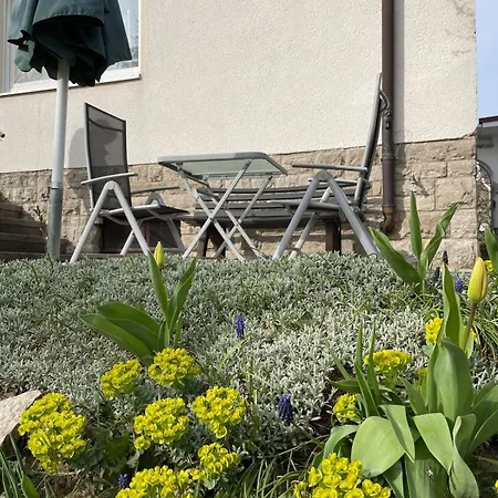 Gruene Oase In Apartment